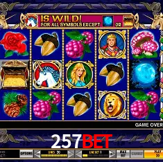 Descubra o Mundo do Cassino Online com 257bet